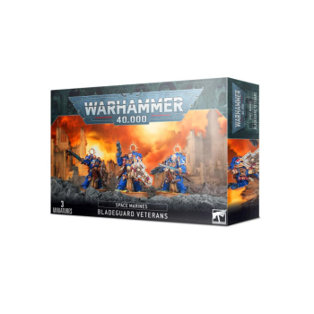 w40k_:_space_marines_-_bladeguard_veterans