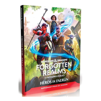 dungeons_&_dragons_-_forgotten_realms_:_heros_de_faerun